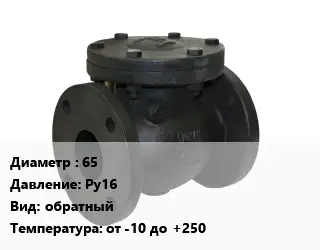 Клапан чугунный 65 Ру16 обратный от -10 до +250